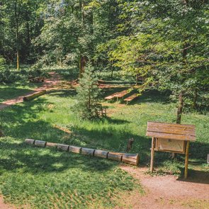 Blick auf eine Lichtung im Wald mit Sitzgelegenheiten und Schautafeln