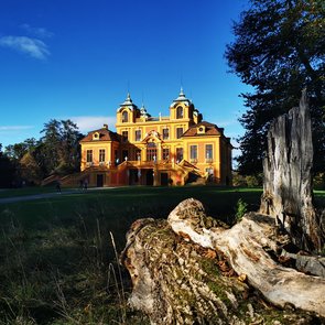 Blick auf Schloß Favorite