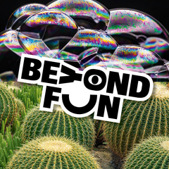 Nahaufnahme von mehreren runden Kakteen mit großen, schillernden Seifenblasen darüber und dem Schriftzug 'BEYOND FUN' in schwarz-weißer Schrift darübergelegt