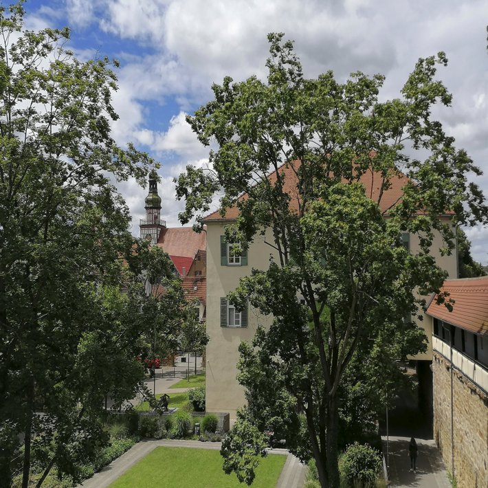 Blick von Bastion über den Vogtshausgarten