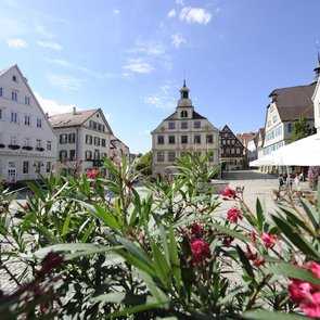 Blick auf den Marktplatz. Im Vordergrund blühender Oleander.