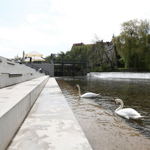 Backnang Murrtreppe (Alt)