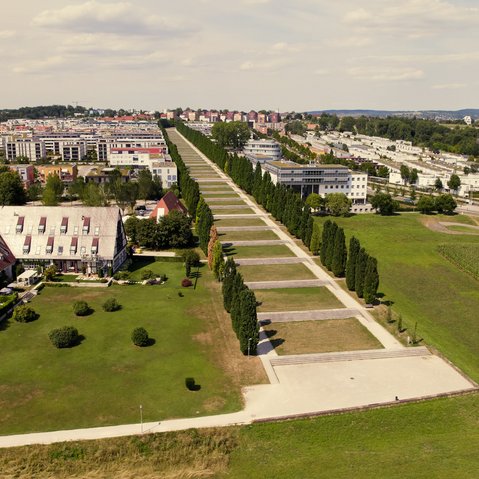 Luftaufnahme einer langen, geraden Allee mit Bäumen und angrenzenden Wohngebäuden in einer Vorstadtlandschaft.