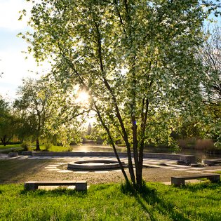 Talaue Seeplatz