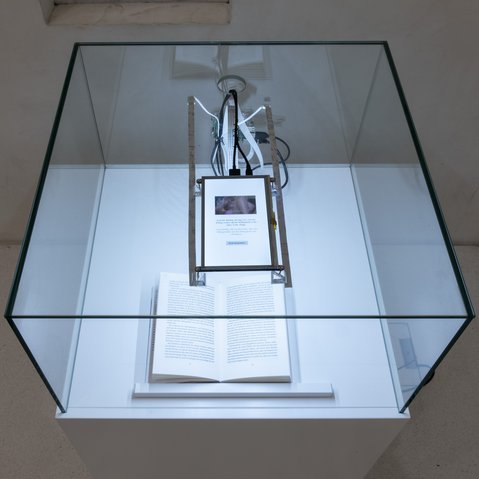 Kunstprojekt "Reading Machine (Lesemaschine)" von Jonas Eltes beim Festival "Drehmoment" der KulturRegion Stuttgart 2018