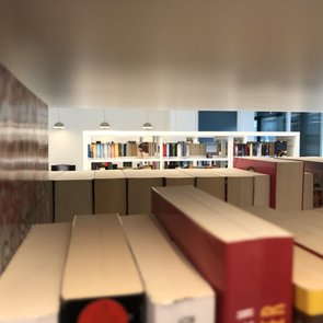 Blick in die Bücherregale