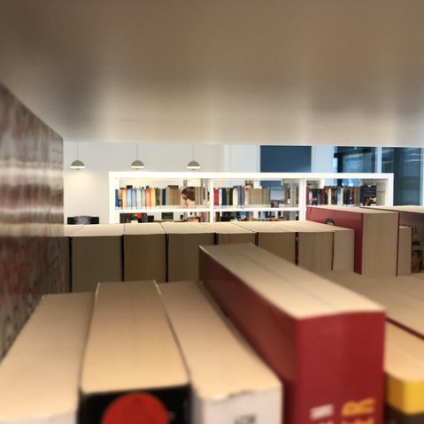 Blick in die Bücherregale