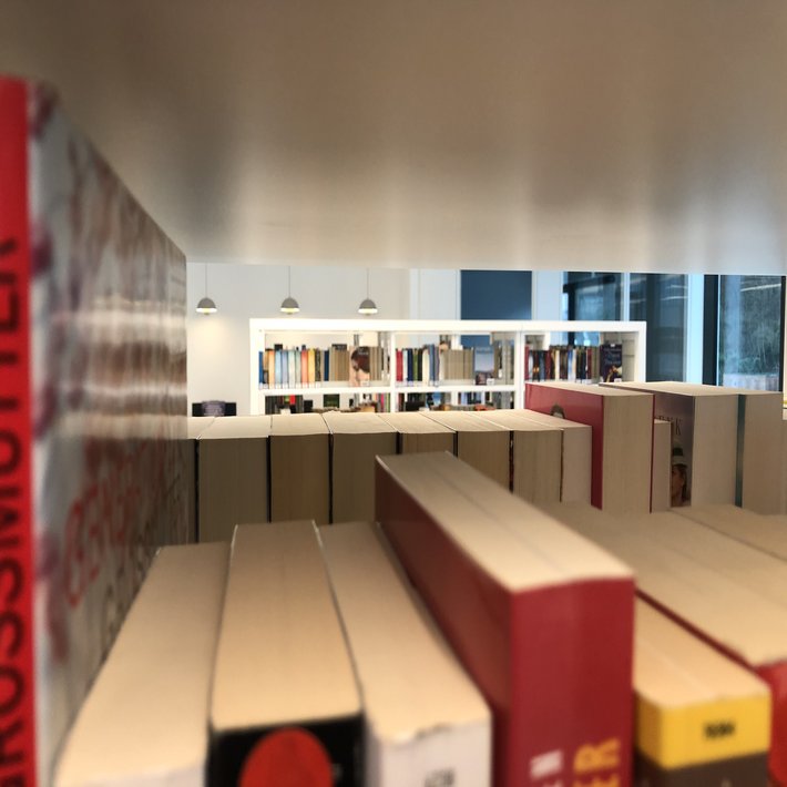 Blick in die Bücherregale