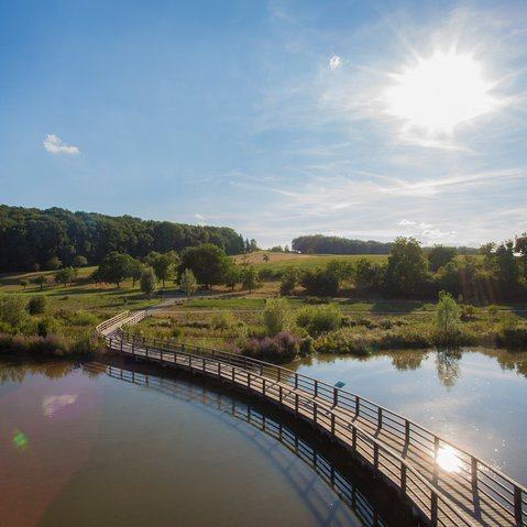 Blick auf den Neckar und den Grünzug