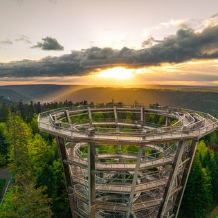 Holzsteg mit spiralförmiger Rampe auf einem Aussichtsturm über einem dichten Nadelwald bei Sonnenuntergang
