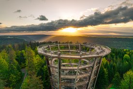 Holzsteg mit spiralförmiger Rampe auf einem Aussichtsturm über einem dichten Nadelwald bei Sonnenuntergang