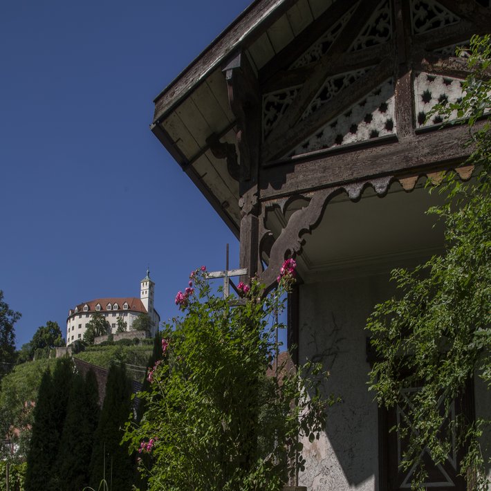 Blick vom Garten auf das Schloss