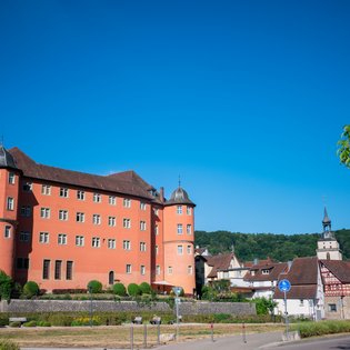 Aussenansicht Schloss Bartenau vor blauem Himmel