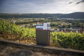 Foto einer Informationsstehle am Wegesrand. Im Hintergrund sind Weinberge und ein Tal zu sehen.