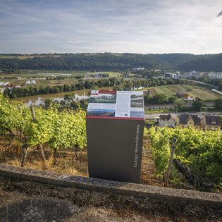 Foto einer Informationsstehle am Wegesrand. Im Hintergrund sind Weinberge und ein Tal zu sehen.