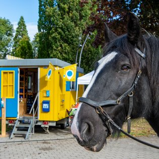 Der Bauwagen in Fellbach im Rahmen des Projekts SPIEL:RAUM der KulturRegion Stuttgart 2021-2022