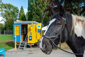 Der Bauwagen in Fellbach im Rahmen des Projekts SPIEL:RAUM der KulturRegion Stuttgart 2021-2022
