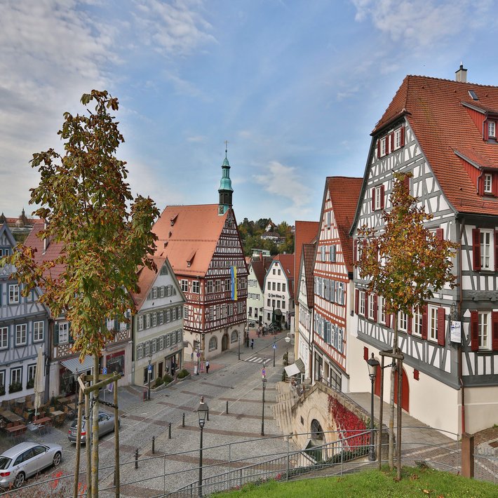 Blick auf das Rathaus