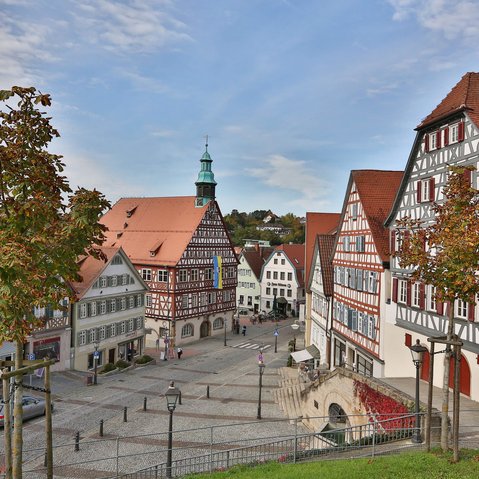 Blick auf das Rathaus
