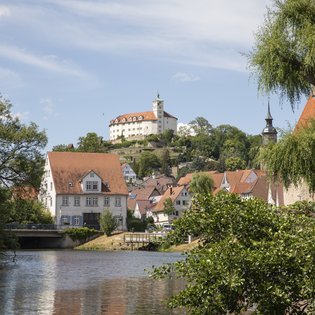 Blick von der Enz auf das Schloss