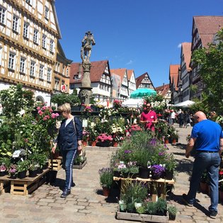 Jazz-Garten in der Altstadt. Es sind viele Blumen und Pflanzen drapiert.
