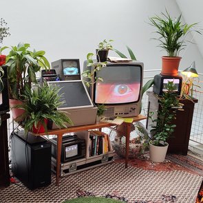 Mehrere Zimmerpflanzen stehen auf und um alte Fernseher und elektronische Geräte in einem Raum mit gemustertem Bodenbelag