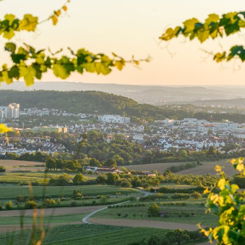 Aussicht von einem Berg aus auf Winnenden. Im Vordergrund Äste eines Baumes.