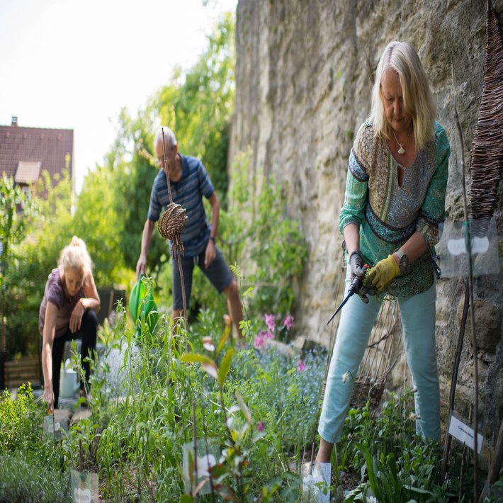 Zwei Frauen und ein Mann beim Gärtnern