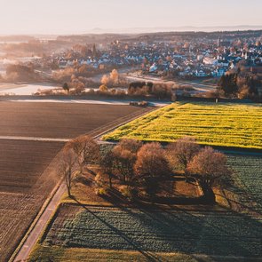 Blick von oben auf die Kastellanlage. Daneben blüht ein Rapsfeld.