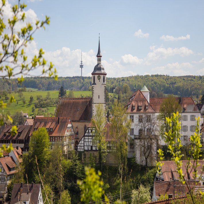 Stadtansicht Waldenbuch von einer Anhöhe aus durch Bäume hindurch fotografiert
