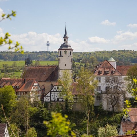 Stadtansicht Waldenbuch von einer Anhöhe aus durch Bäume hindurch fotografiert