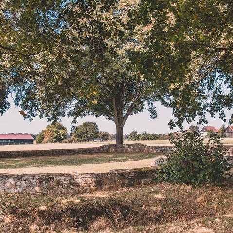 Blick auf die Grundmauern des Kastells. Das Kastell liegt inmitten von Feldern, von ein paar Bäumen umgeben.