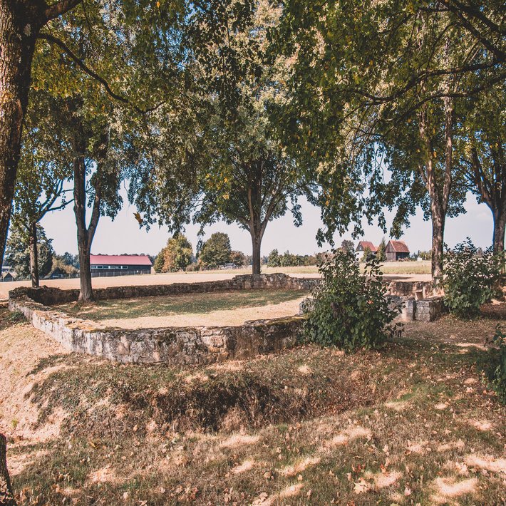 Blick auf die Grundmauern des Kastells. Das Kastell liegt inmitten von Feldern, von ein paar Bäumen umgeben.