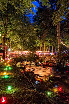 Bachlauf in einem bewaldeten Park bei Nacht mit bunten Lichterketten und kleinen farbigen Leuchten entlang des Ufers
