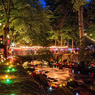Bachlauf in einem bewaldeten Park bei Nacht mit bunten Lichterketten und kleinen farbigen Leuchten entlang des Ufers