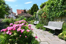 Aufnahme am Kirchplatz. Im Vordergrund blühen üppig pinke Blumen. Eine Bank lädt zum Verweilen ein.