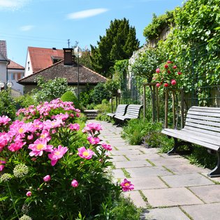 Aufnahme am Kirchplatz. Im Vordergrund blühen üppig pinke Blumen. Eine Bank lädt zum Verweilen ein.