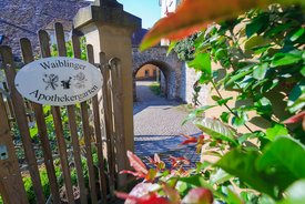 Blick in den Apothekergarten