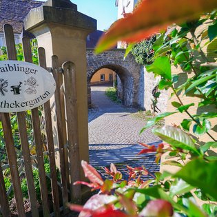 Blick in den Apothekergarten