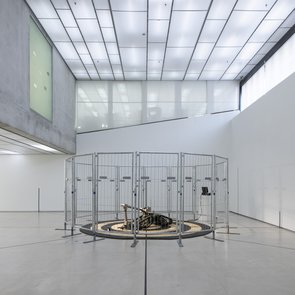 Kunstprojekt "Target" von Beate Susanne Wehr beim Festival "Drehmoment" der KulturRegion Stuttgart 2018