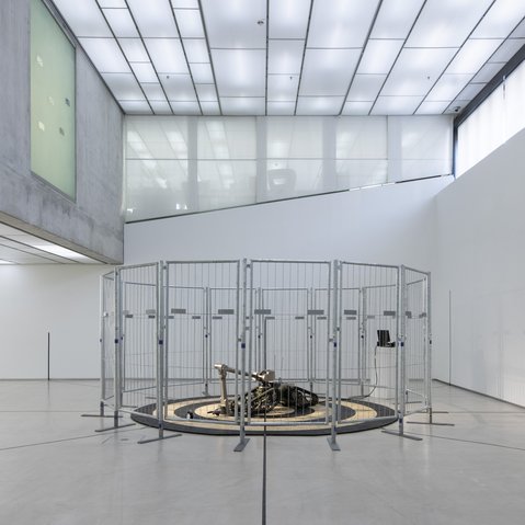 Kunstprojekt "Target" von Beate Susanne Wehr beim Festival "Drehmoment" der KulturRegion Stuttgart 2018