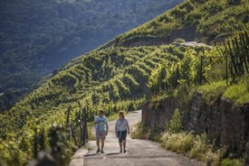 Zwei Personen - möglicherweise ein Paar - wandern auf einem Weg im Weinberg. Sie tragen beide eine Tasche und schauen ins Tal.