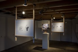 Abschlussfest des Festivals "Unter Beobachtung" im Stuttgarter Kunstverein Wagenhalle, Bureau Baubotanik