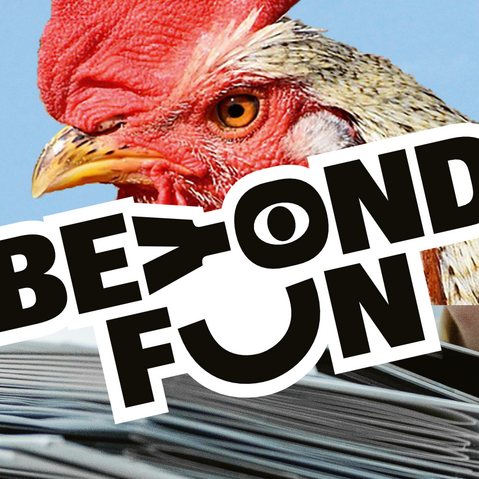 Hahn mit rotem Kamm vor blauem Himmel und Stapel weißer Briefe mit Aufschrift 'BEYOND FUN'