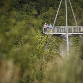 Bild: Blick durch Gebüsch hindurch auf eine Aussichtsplattform aus Stahl. Mehrere Menschen, gekleidet wie Wanderer, befinden sich auf der Plattform.