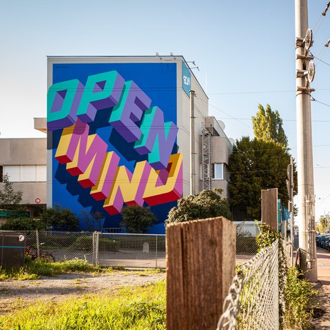 Kunst auf Hausfassade