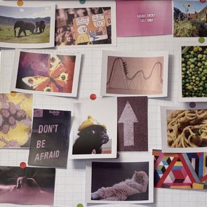 Bild eines Flipcharts, auf das mehrere kleinere Fotos geklebt sind. Es sind Fotos von Elefanten, Früchten, einem Schmetterling, einem Pfeil, einer Katze bei der Fellpflege und weiteren Motiven.