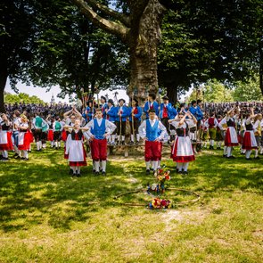 Flössertanz am Rondell