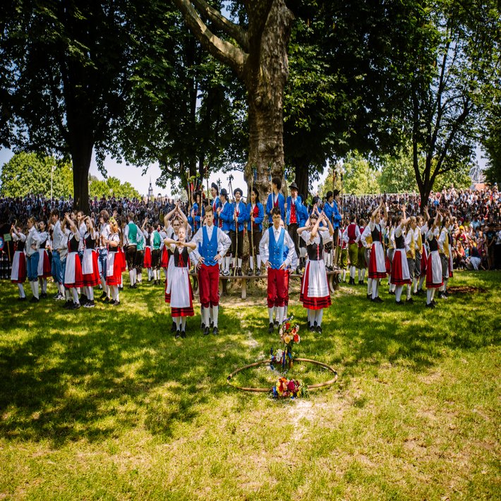 Flössertanz am Rondell