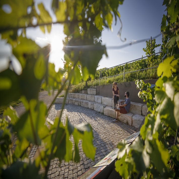 Zwei Personen, möglicherweise ein Paar sitzen auf halbrund angeordneten Steinen. Es wurde durch eine Weinrebe hindurch fotografiert, so dass im Vordergrund am Bildrand noch verschwommen Blätter erkennbar sind